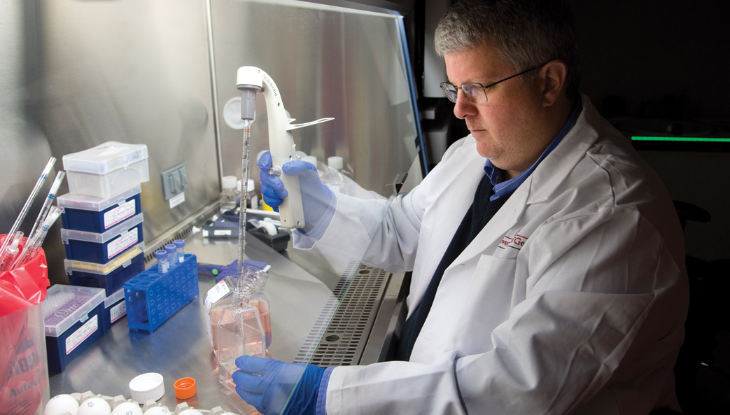 UGA research scientist in lab