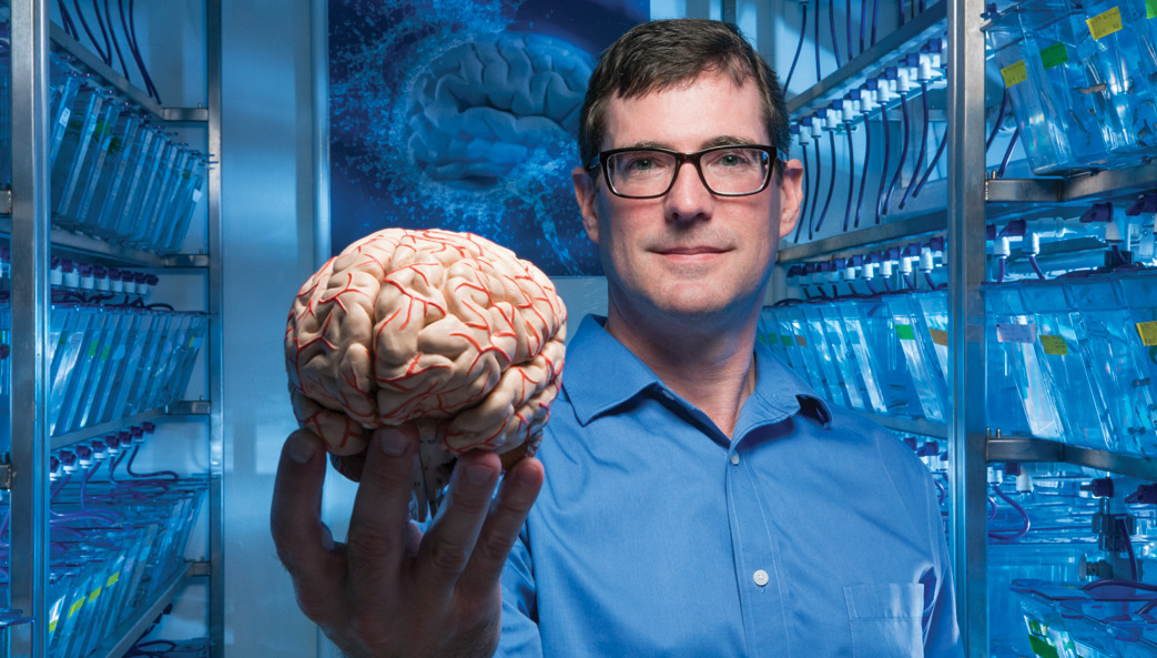 University of Georgia research Jim Lauderdale holds model brain