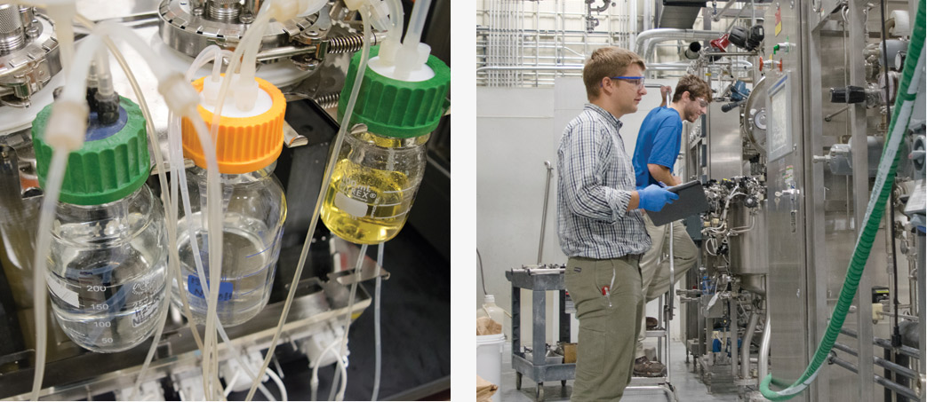 bacteria in laboratory, men in pilot factory