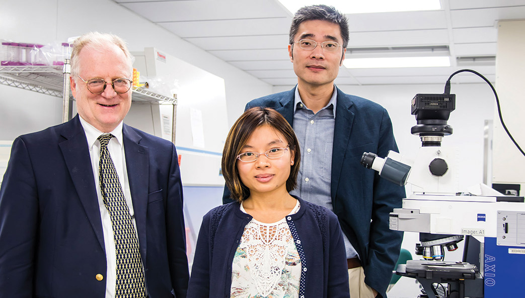 Researchers in lab
