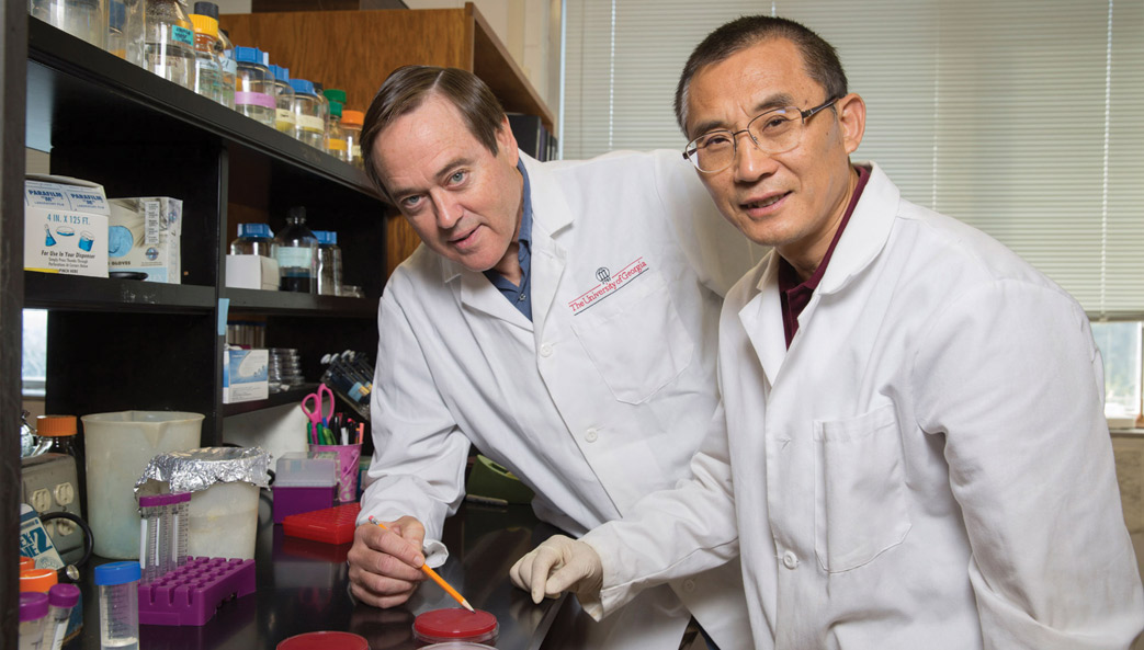 University of Georgia researchers Robert Maier and Ge Wang