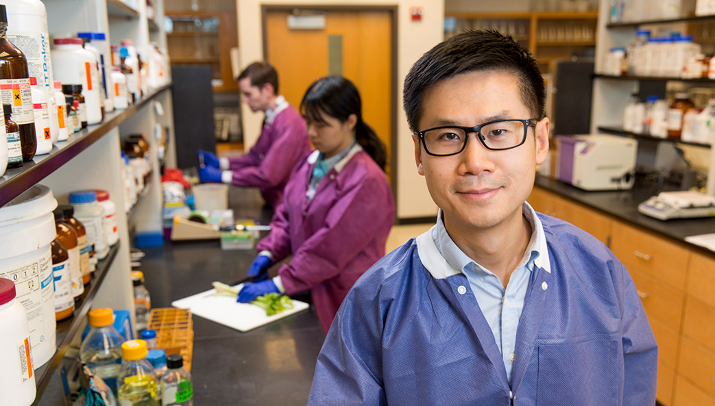 University of Georgia researcher Xiangyu Deng