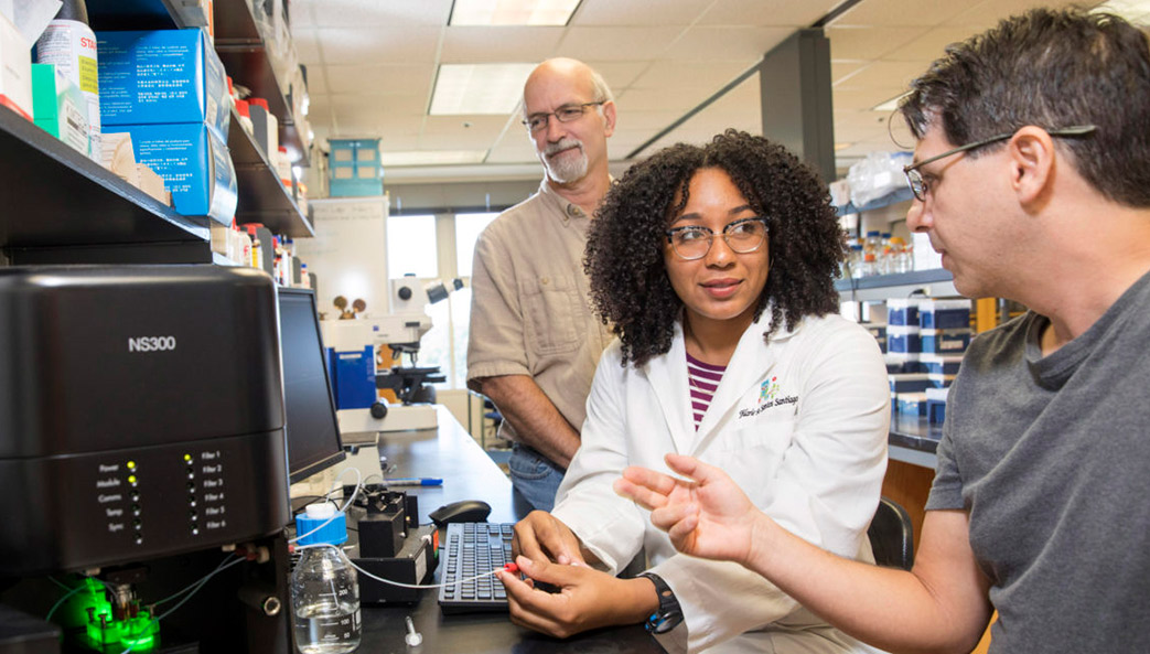 PREP@UGA Scholar Jilarie Santos Santiago, center, consults with her faculty mentor Stephen Hajduk, left, and postdoctoral mentor Michael Cipriano.