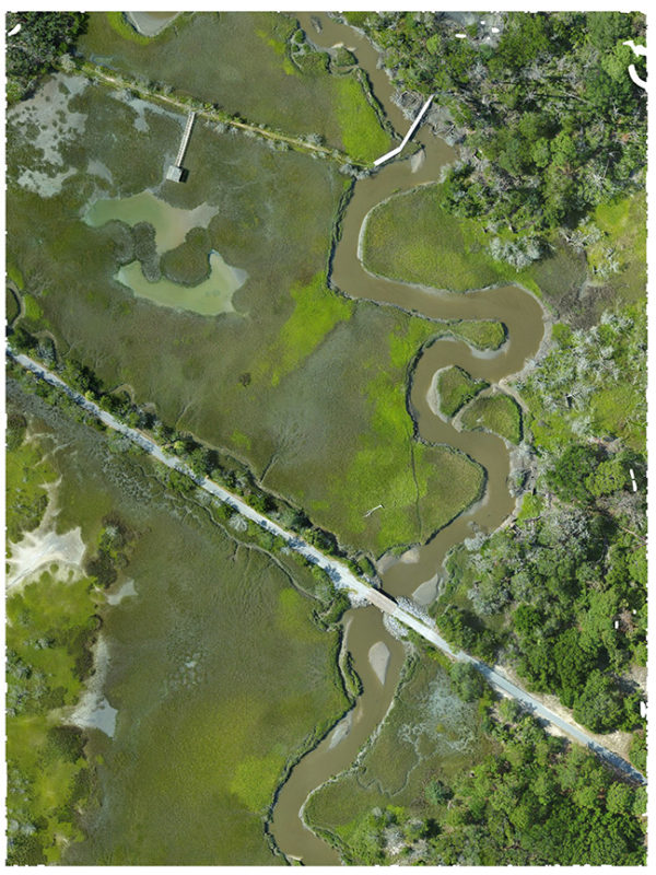 drone image of Sapelo