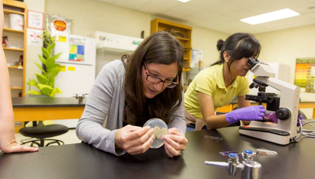 Assistant professor Marin Talbot Brewer interacting and teaching graduate and undergraduate students about mushrooms and other fungi during her Fungal Biology class. (Photo by Andrew Davis Tucker/UGA)